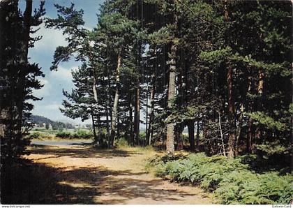 44 SAINT HERBLAIN FORETS