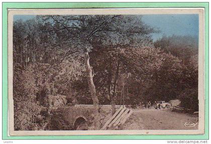 42 - SAINT JEAN SOLEYMIEUX -- Pont de la Gueule d'Enfer - 1951
