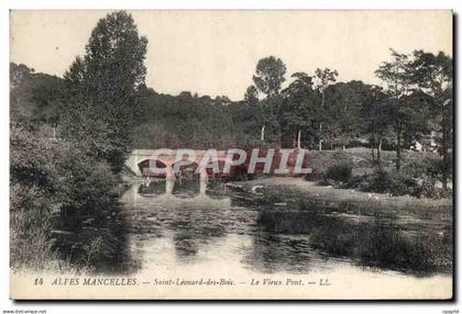CPA Alpes Mancelles Saint Leonard des Bois Le Vieux Pont