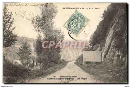 CPA Environs d'Alencon Saint Leonard des Bois Les Gorges