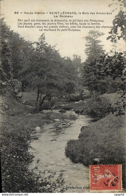 CPA Haute Vienne Saint Leonard le Bois des Amoureaux Le Ruisseau