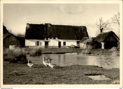 44 - SAINT-LYPHARD - éditions de la sirène - chaumière - oies
