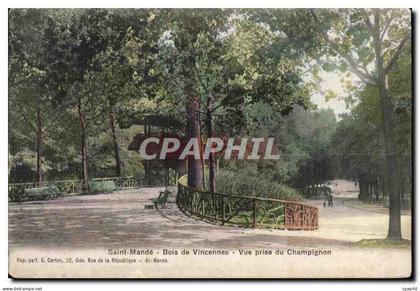 CPA Saint Mande Bois de Vincennes Vue prise du Champignon