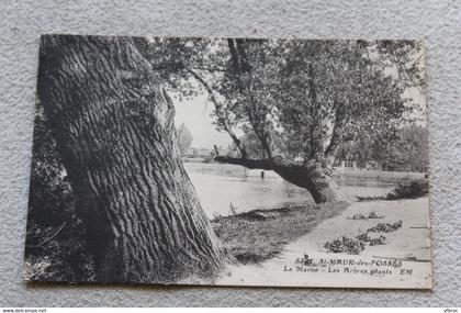 Saint Maur des Fossés, la Marne, les arbres géants, Val de Marne 94