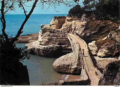 17 - Saint Palais sur Mer - Le pont de la Corniche - CPM - Voir Scans Recto-Verso