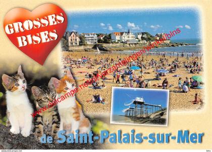 La plage du Platin et les carrelets - Saint-Palais-sur-Mer - (17) Charente Maritime