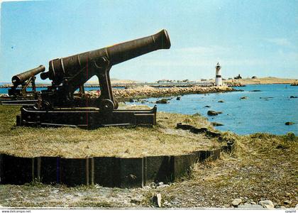 CPM Saint Pierre La pointe aux Canons