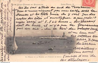 Saint Pierre et Miquelon / 06 - Le phare de la Pointe aux Canons en Hiver - défaut