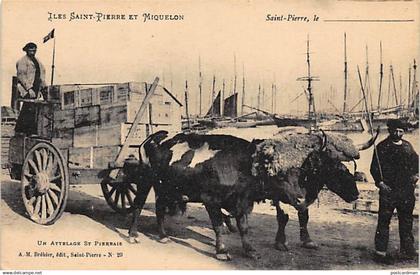 Saint-Pierre et Miquelon - Un attelage St Pierrais - Ed. A.-M. Bréhier 29.