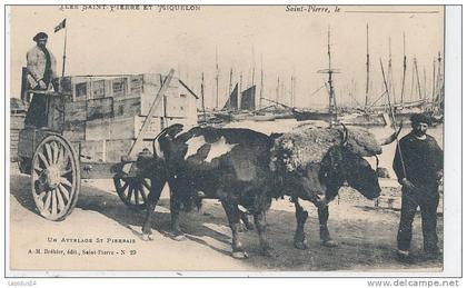 YS 867 /CPA -  SAINT PIERRE ET MIQUELON - UN ATTELAGE St PIERRAIS