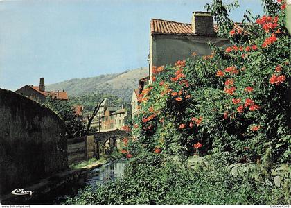 34 SAINT PONS DE THOMIERES VUE PITTORESQUE