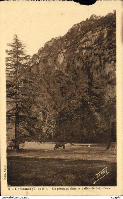 CPA Gemenos Un paturage dans la vallee de Saint Pons
