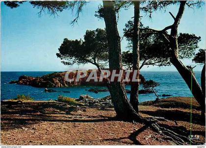 CPM environs de Saint Raphael (Var Dans les calanques de Santa Lucha