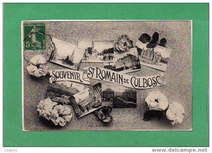 SAINT ROMAIN DE COLBOSC -- Souvenir