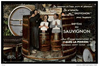 18 Fontenay Saint-Satur cave bapteme vin domaine viticole D18D K18241K C18233C RH080149