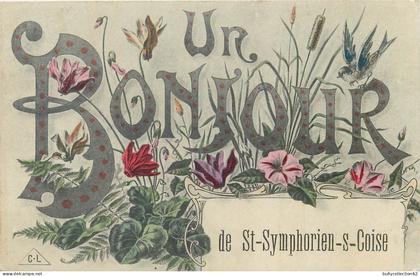 CPA Saint-Symphorien-sur-Coise 69/131