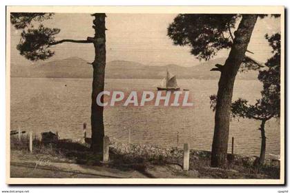 CPA Cote D'Azur Saint Tropez Le Massif de l'Esterel vu de la Route de Saint Tropez