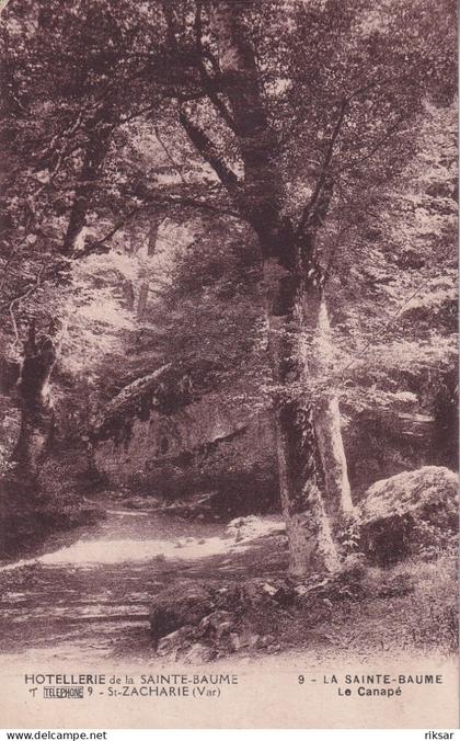 SAINT ZACHARIE(HOSTELLERIE DE LA SAINTE BAUME) ARBRE