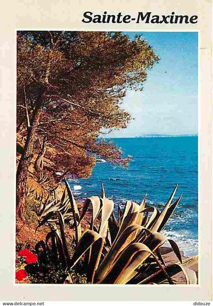 83 - Sainte Maxime - En parcourant les rivages Méditerranéens - CPM - Voir Scans Recto-Verso