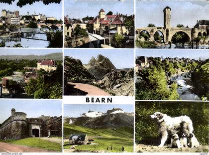 CPSM Bearn Salies De Bearn
