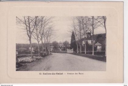 SALIES DU SALAT