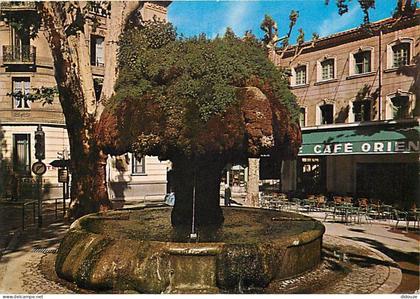 13 - Salon de Provence - La Fontaine moussue - CPM - Voir Scans Recto-Verso