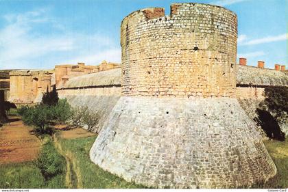 66 SALSES LE CHATEAU CHATEAU DE SALSES