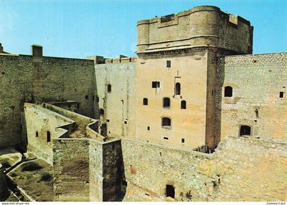 66 SALSES LE CHATEAU CHATEAU FORT DE SALSES