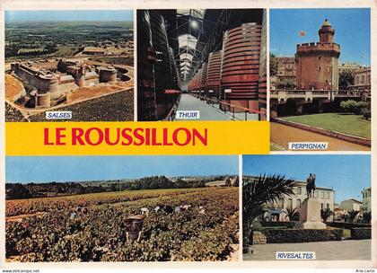 66 SALSES LE CHATEAU FORTERESSE DE SALSES