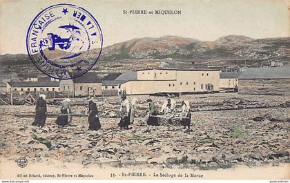 Saint-Pierre-et-Miquelon - SAINT-PIERRE - Le séchage de la morue - Ed. Alfred Briand 33 Aquarellée
