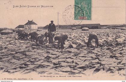 SAINT PIERRE ET MIQUELON(SAINT PIERRE) TYPE(SECHAGE DE MORUE)