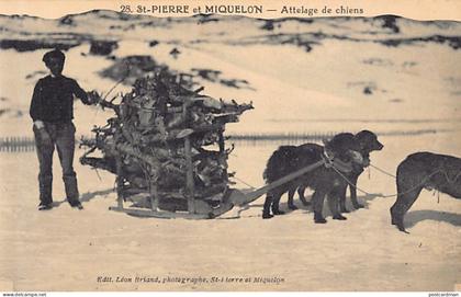 Saint-Pierre & Miquelon - Attelage de chiens - Ed. Léon Briand 28