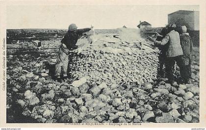 Saint-Pierre & Miquelon - Empilage de la morue - Ed. Agence Centrale des Colonies