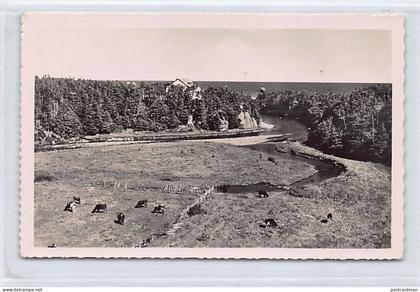 SAINT PIERRE & MIQUELON - Langlade - La belle Rivière - Ed. Jean Briand 10