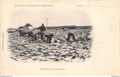 Saint-Pierre & Miquelon - Le séchage de la morue - Ed. A. M. Bréhier
