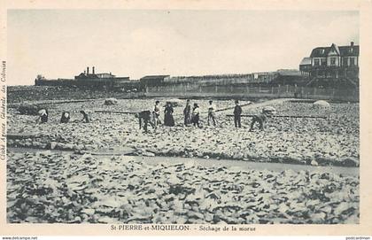 Saint-Pierre & Miquelon - Séchage de la morue - Ed. Agence Générale des Colonies
