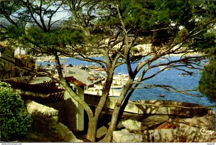 Sanary sur Mer CPA A l'abri sous les pins Regards vers le port