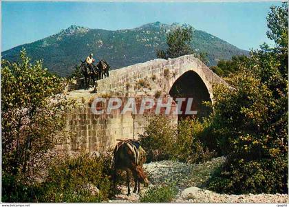 CPM Pont Genois aux environs de Sartene