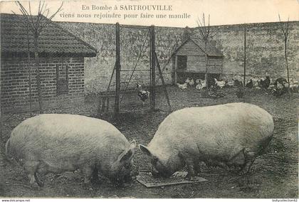 CPA Sartrouville 78/421