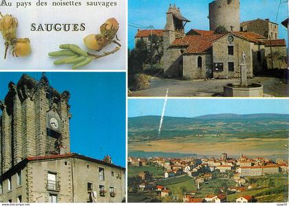 CPM Saugues (Hte Loire) Alt 960m
