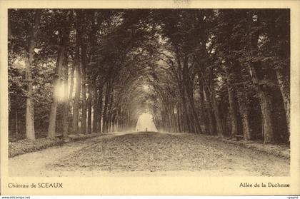 CPA Chateau de Sceaux Allee de la Duchesse