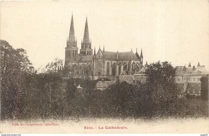 CPA Sees La Cathedrale