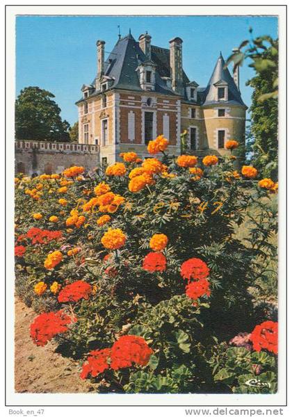 {40279} 41 Loir et Cher Selles sur Cher , Le château