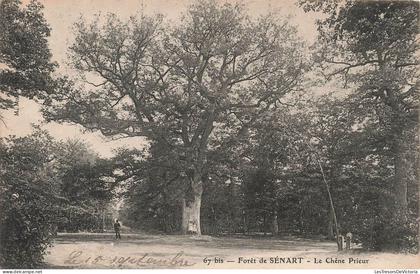 [-30%] FRANCE - Sénart - Forêt de Sénart - La chêne prieur - Carte postale ancienne
