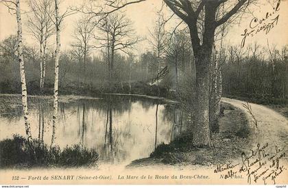 CPA Foret de Senart Seine et Oise La Mare de la Route du Beau Chene