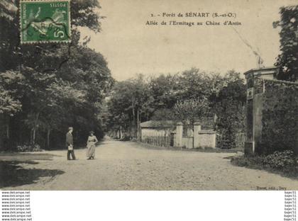 Forêt de Sénart