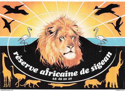11 SIGEAN RESERVE AFRICAINE DE SIGEAN