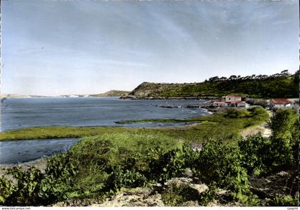 CPSM Sigean Etang De Sigean