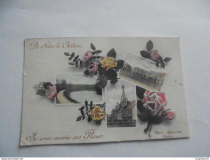 DE SOLRE LE CHÂTEAU Je Vous Envoie Ces Fleurs Multivues Carte Postale
