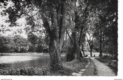 Yvelines : ST REMY lès Chevreuse  : promenade  autour  lac